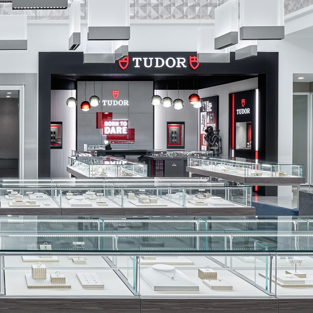 Explore the World of TUDOR