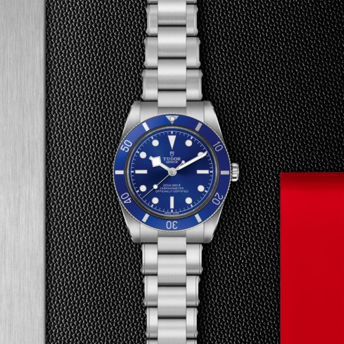 TUDOR Black Bay 54 Watch - M79000B-0001 at Persin & Robbin