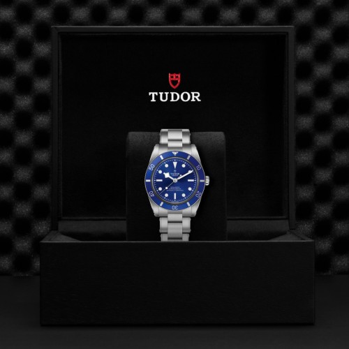 TUDOR Black Bay 54 Watch - M79000B-0001 at Persin & Robbin