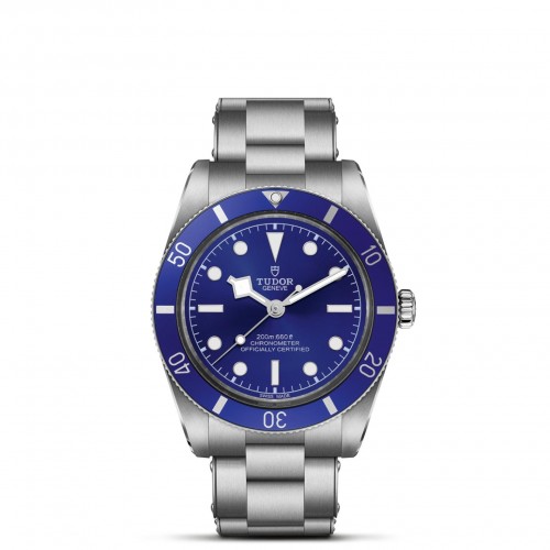 TUDOR Black Bay 54 Watch - M79000B-0001 at Persin & Robbin