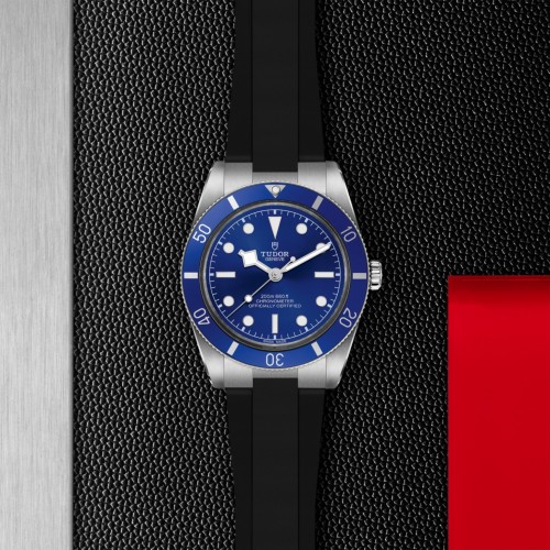 TUDOR Black Bay 54 Watch - M79000B-0002 at Persin & Robbin