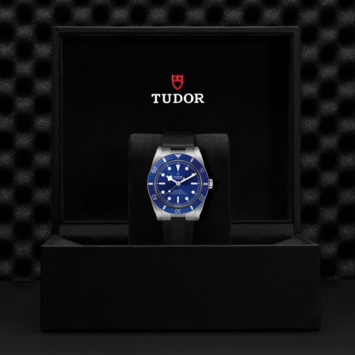 TUDOR Black Bay 54 Watch - M79000B-0002 at Persin & Robbin