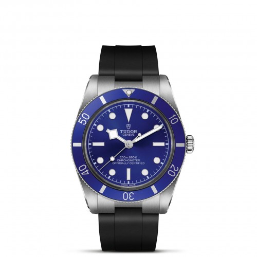 TUDOR Black Bay 54 Watch - M79000B-0002 at Persin & Robbin