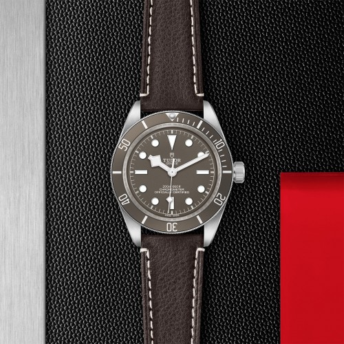 TUDOR Black Bay 58 Watch - M79010SG-0001 at Persin and Robbin Jewelers