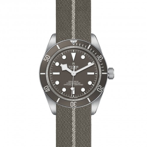 TUDOR Black Bay 58 Watch - M79010SG-0002 at Persin and Robbin Jewelers