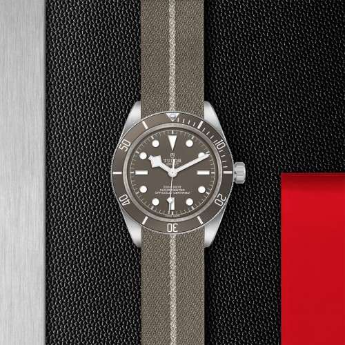 TUDOR Black Bay 58 Watch - M79010SG-0002 at Persin and Robbin Jewelers