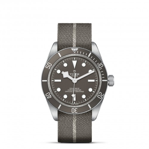 TUDOR Black Bay 58 Watch - M79010SG-0002 at Persin and Robbin Jewelers