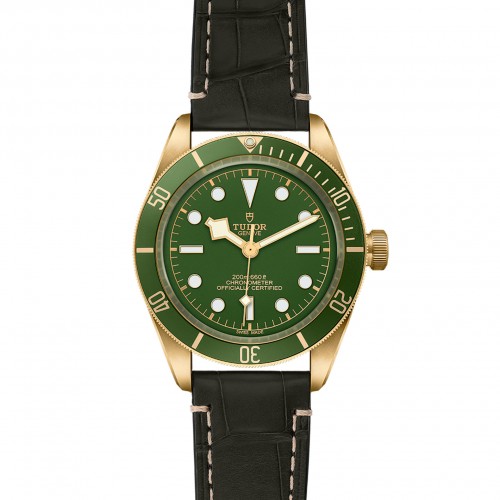 TUDOR Black Bay 58 Watch - M79018V-0001 at Persin and Robbin Jewelers