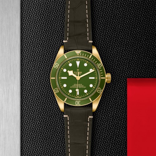 TUDOR Black Bay 58 Watch - M79018V-0001 at Persin and Robbin Jewelers