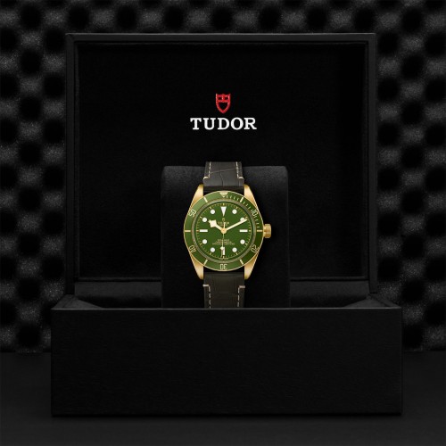 TUDOR Black Bay 58 Watch - M79018V-0001 at Persin and Robbin Jewelers