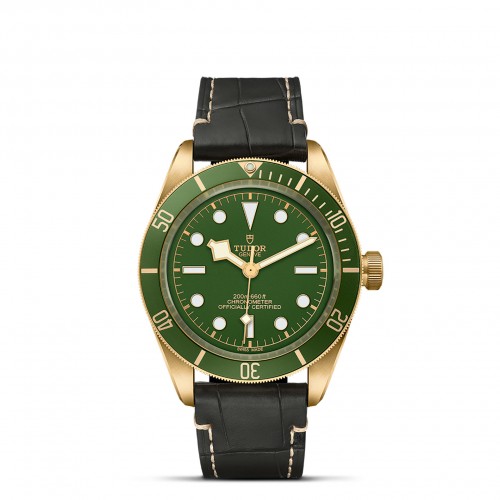 TUDOR Black Bay 58 Watch - M79018V-0001 at Persin and Robbin Jewelers