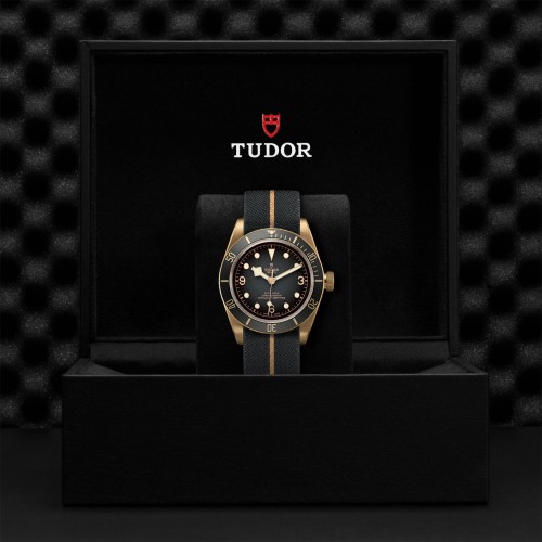 TUDOR Black Bay Bronze Watch - M79250BA-0002 at Persin and Robbin Jewelers
