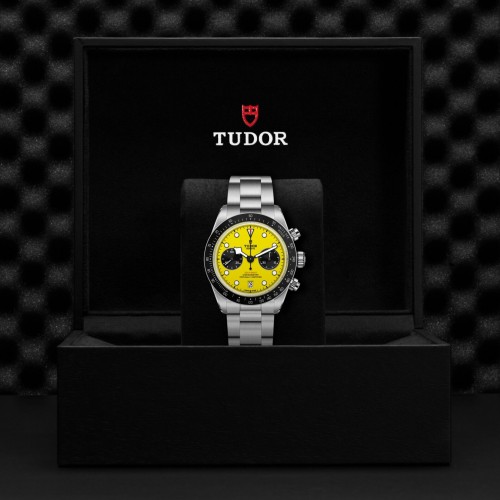 TUDOR Daring Watch - M79310N-0001 at Persin & Robbin