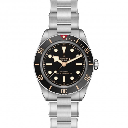 TUDOR Black Bay 58 Watch - M7939A1A0NU-0002 at Persin & Robbin