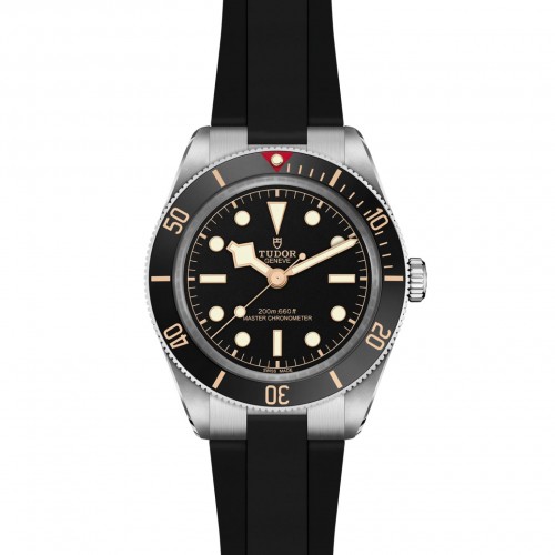 TUDOR Black Bay 58 Watch - M7939A1A0NU-0003 at Persin & Robbin