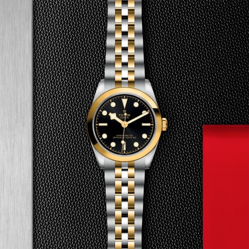 TUDOR Black Bay 31/36/39/41 S&G Watch - M79603-0001 at Persin and Robbin Jewelers
