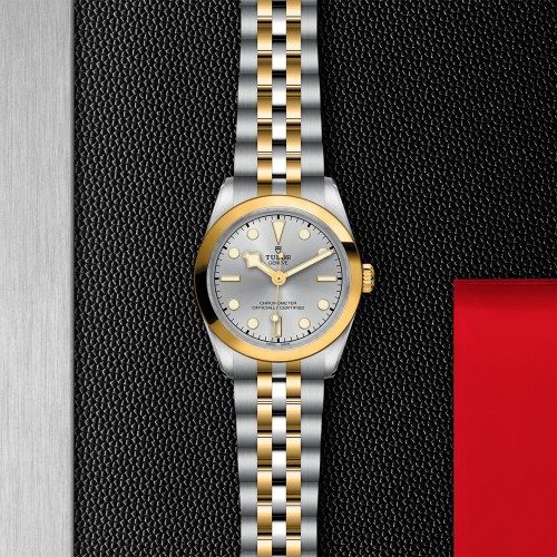 TUDOR Black Bay 31/36/39/41 S&G Watch - M79603-0002 at Persin and Robbin Jewelers
