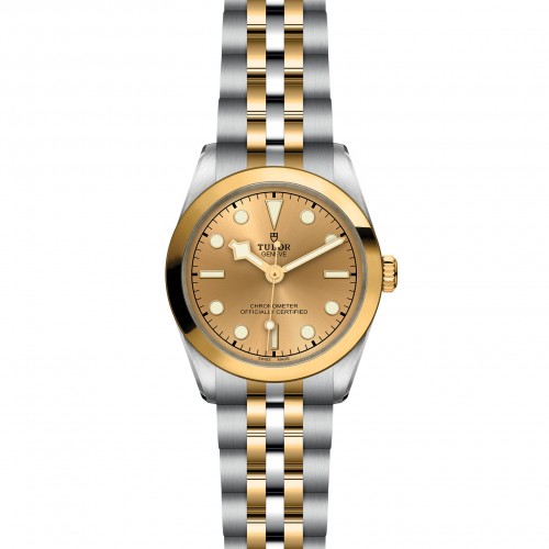 TUDOR Black Bay 31/36/39/41 S&G Watch - M79603-0005 at Persin and Robbin Jewelers
