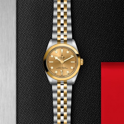 TUDOR Black Bay 31/36/39/41 S&G Watch - M79603-0005 at Persin and Robbin Jewelers