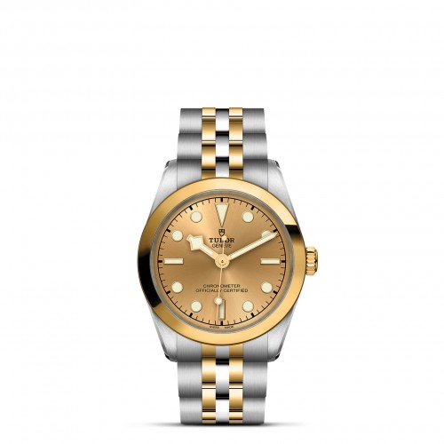 TUDOR Black Bay 31/36/39/41 S&G Watch - M79603-0005 at Persin and Robbin Jewelers