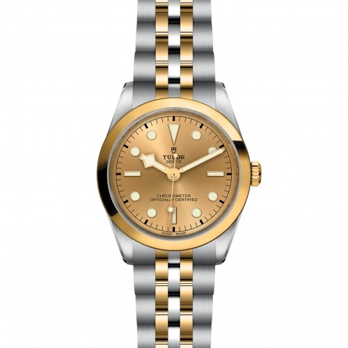 TUDOR Black Bay 31/36/39/41 S&G Watch - M79643-0005 at Persin and Robbin Jewelers