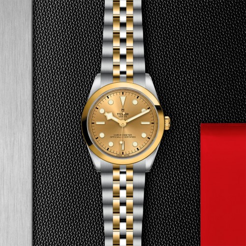 TUDOR Black Bay 31/36/39/41 S&G Watch - M79643-0005 at Persin and Robbin Jewelers