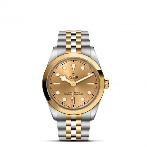 TUDOR Black Bay 31/36/39/41 S&G Watch - M79643-0005 at Persin and Robbin Jewelers