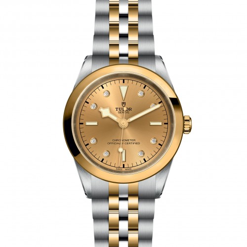 TUDOR Black Bay 31/36/39/41 S&G Watch - M79683-0008 at Persin and Robbin Jewelers