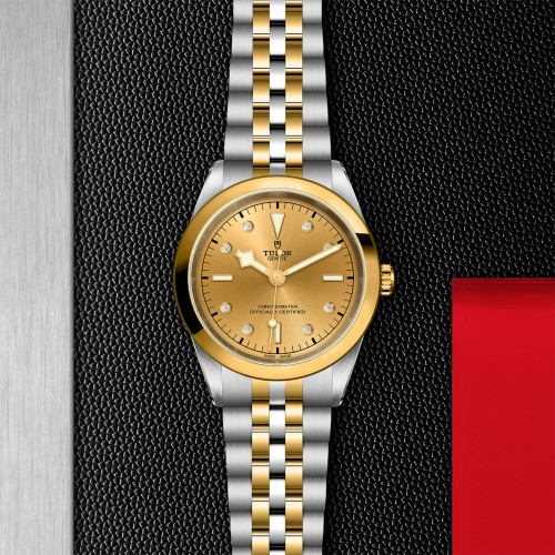 TUDOR Black Bay 31/36/39/41 S&G Watch - M79683-0008 at Persin and Robbin Jewelers