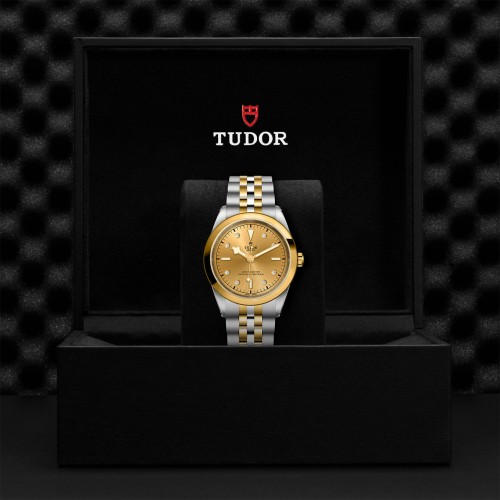 TUDOR Black Bay 31/36/39/41 S&G Watch - M79683-0008 at Persin and Robbin Jewelers