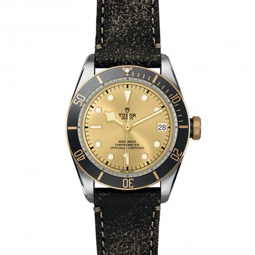 TUDOR Black Bay Watch - M79733N-0003 at Persin and Robbin Jewelers