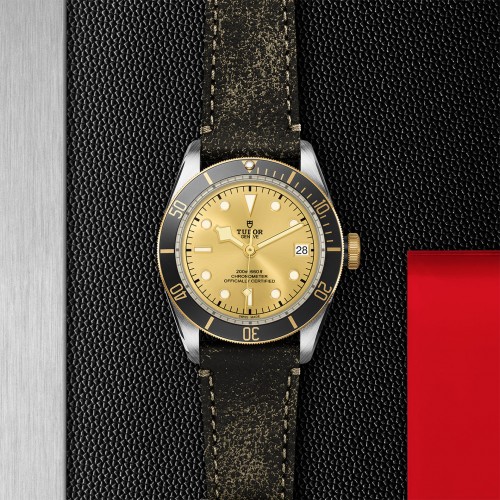 TUDOR Black Bay Watch - M79733N-0003 at Persin and Robbin Jewelers