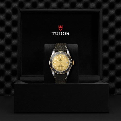 TUDOR Black Bay Watch - M79733N-0003 at Persin and Robbin Jewelers