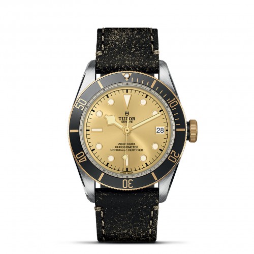 TUDOR Black Bay Watch - M79733N-0003 at Persin and Robbin Jewelers