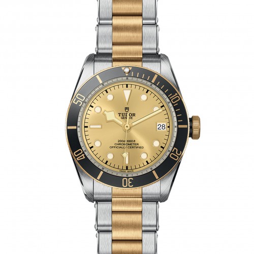 TUDOR Black Bay Watch - M79733N-0004 at Persin and Robbin Jewelers
