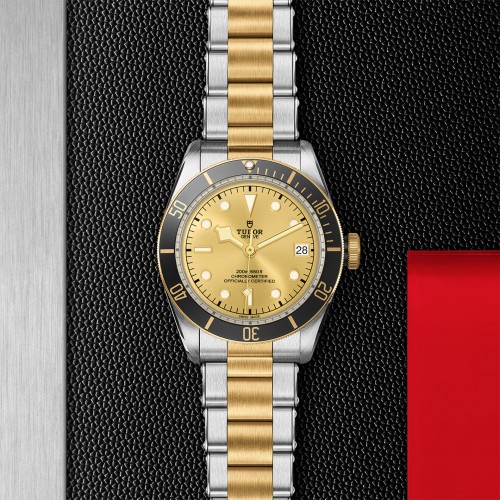 TUDOR Black Bay Watch - M79733N-0004 at Persin and Robbin Jewelers