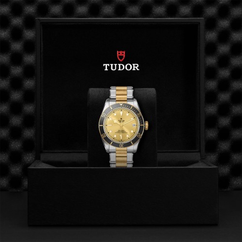TUDOR Black Bay Watch - M79733N-0004 at Persin and Robbin Jewelers