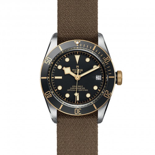 TUDOR Black Bay Watch - M79733N-0005 at Persin and Robbin Jewelers