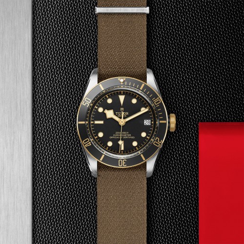 TUDOR Black Bay Watch - M79733N-0005 at Persin and Robbin Jewelers