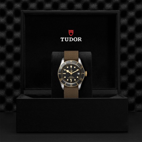 TUDOR Black Bay Watch - M79733N-0005 at Persin and Robbin Jewelers