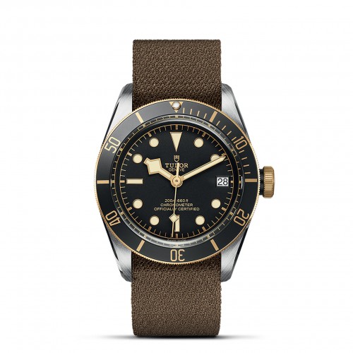 TUDOR Black Bay Watch - M79733N-0005 at Persin and Robbin Jewelers