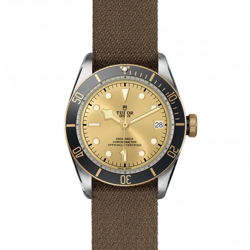 TUDOR Black Bay Watch - M79733N-0006 at Persin and Robbin Jewelers