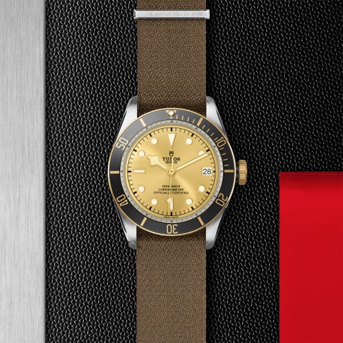 TUDOR Black Bay Watch - M79733N-0006 at Persin and Robbin Jewelers