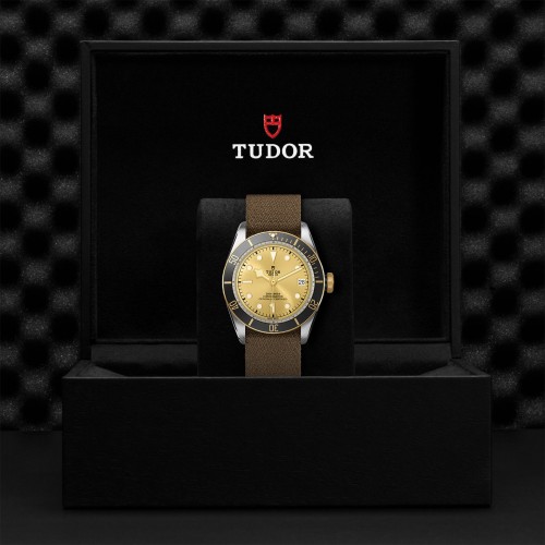 TUDOR Black Bay Watch - M79733N-0006 at Persin and Robbin Jewelers