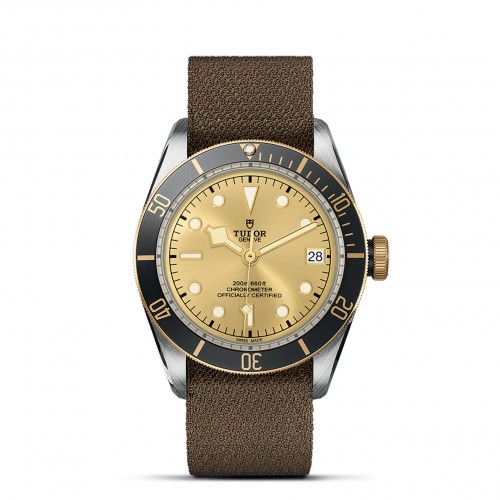TUDOR Black Bay Watch - M79733N-0006 at Persin and Robbin Jewelers