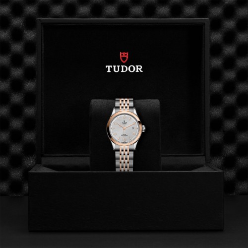 TUDOR 1926 Watch - M91351-0001 at Persin and Robbin Jewelers