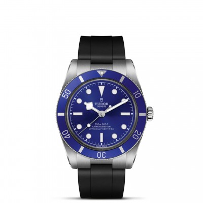 TUDOR Black Bay 54 Watch - M79000B-0002 at Persin & Robbin