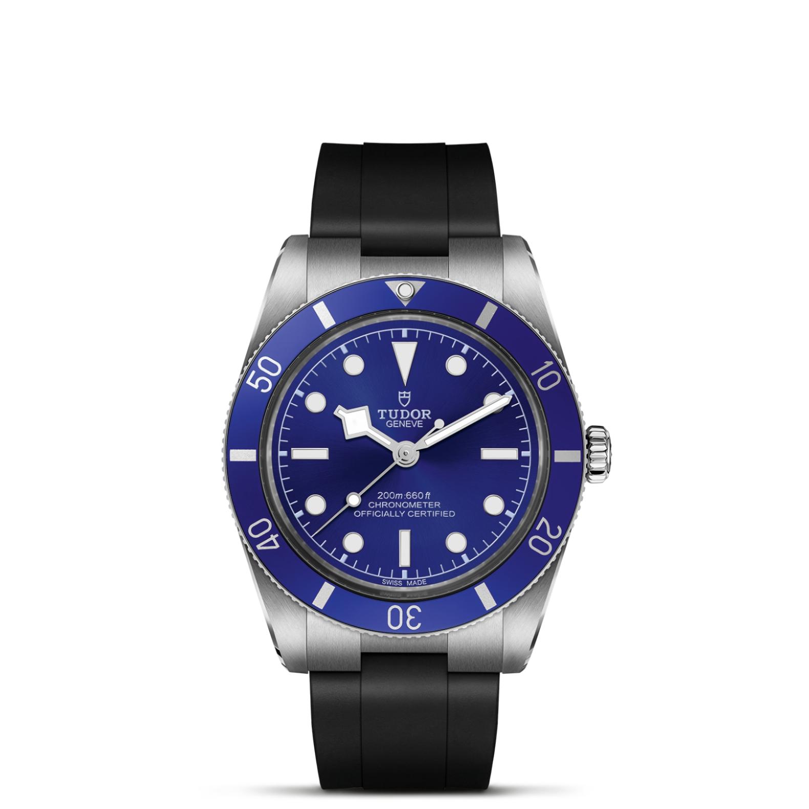 TUDOR Black Bay 54 Watch - M79000B-0002 at Persin & Robbin