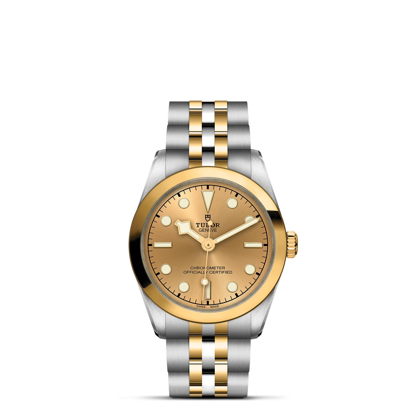 TUDOR Black Bay 31/36/39/41 S&G Watch - M79603-0005 at Persin & Robbin