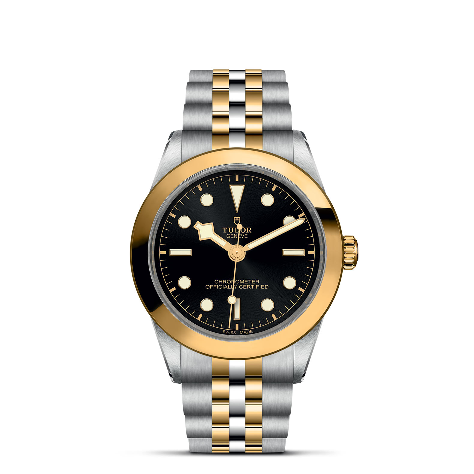 TUDOR Black Bay 31/36/39/41 S&G Watch - M79663-0001 at Persin & Robbin